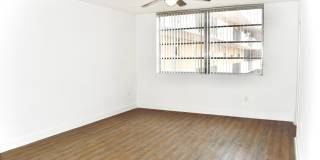 Colony at Dadeland Gallery 20