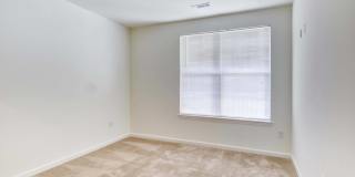 Prynne Hills Gallery 114