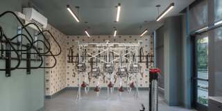 Levels at LoSo Gallery 41