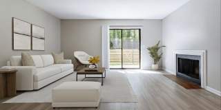 Rosen at North Hills Gallery 1