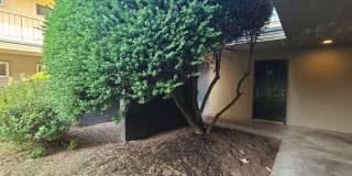 Fiesta Manor Gallery 19