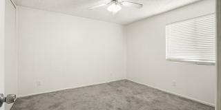 833 Cinnamon Gallery 17