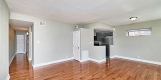 308 Clara Avenue Gallery 39
