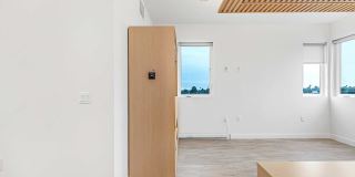 The Rinrose Gallery 43