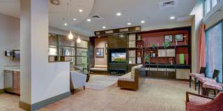The Shelby Gallery 7