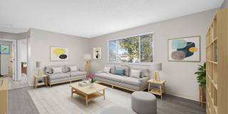 Amazing Renovated Apartments Gallery 13