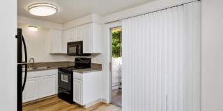 Sugar Pine Gallery 10