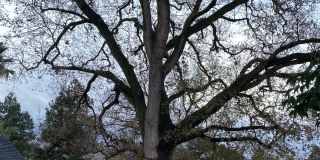 164 Via Del Sol Gallery 20