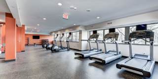 The Mark Alexandria Gallery 27