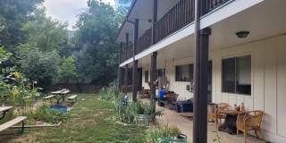 1250 Elder Ave - 1 Gallery 11
