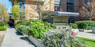 Asa Flats and Lofts Gallery 61