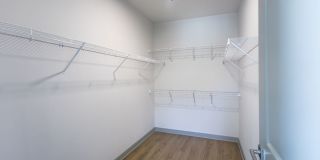 The Belle at the Lamar Gallery 35