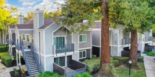 Rush River Gallery 40