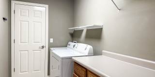 952 Queen Annes Lace (new) Gallery 4