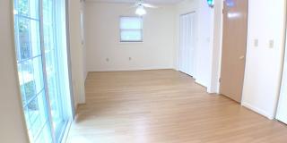 Great 4BR/2BA South Tampa home with Large fenced yard. Gallery 9