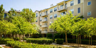 Marlin Cove Apartments Gallery 26