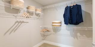 Windsor 335 Gallery 19