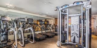 Gables Residences Gallery 15