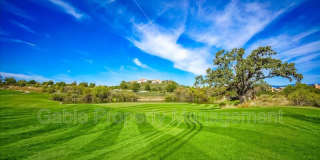 26155 Lone Rock Ct. Gallery 31