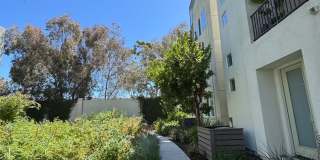 3BR Fully Furnished House in Richmond Gallery 25