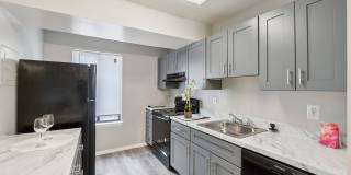 Grove at Alban Gallery 18