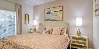 Park Lakes Gallery 51