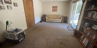Lovely 3bed/2bath Ranch style home with HUGE private yard in a peaceful cul-de-sac! Gallery 16