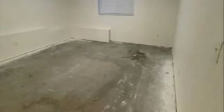 Spacious 3BD 2BA Gallery 17