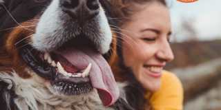 The Rivercrest Apartments by Star Metro Gallery 22