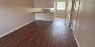 Dawg's Landing Apartments - ANS Gallery 2