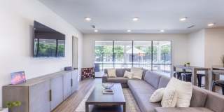 Aventura at Towne Centre Gallery 5