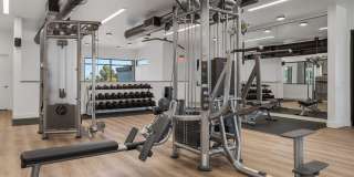 The M at Shadow Mountain Gallery 18