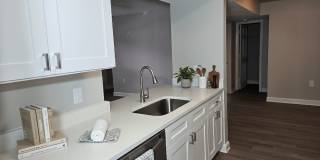 Palms of Clearwater Gallery 29