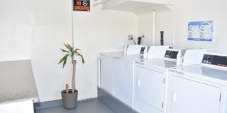 The Patricia Apartments  - the most elegant apartments in Richmond Gallery 94