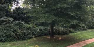 Greenville 2BD/1BA, 896SF Gallery 1