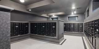 Cendana Craig Ranch Cendana Craig Ranch Gallery 38