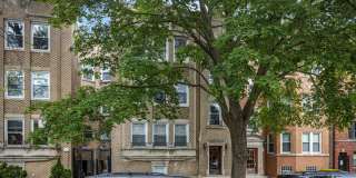 6549 N Mozart Street unit: 3 Gallery 1