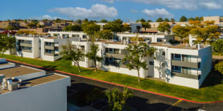 Puerta Del Sol Gallery 24