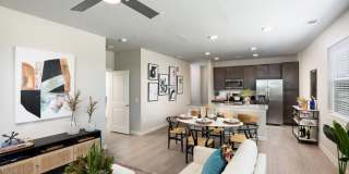 Allora New Forest Gallery 16