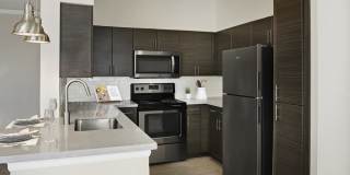 Camden Caley Gallery 2