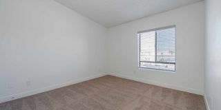 Renaissance Gallery 9