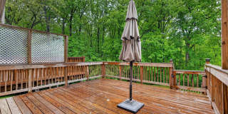 3736 ANGELTON Court Gallery 29