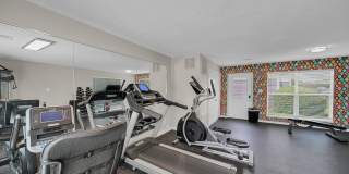 The Stella The Stella Gallery 12