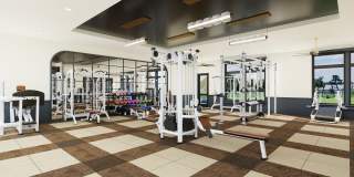 Solis Buffaloe Gallery 47