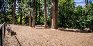 The Colonnade Luxury Townhome Apartments Gallery 17