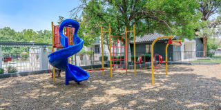 Treehouse Apartments Gallery 52