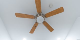 Temple Apartments Gallery 101