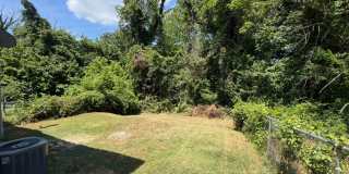 813 Ridge Street - Pet Friendly Charlottesville Home! Gallery 28