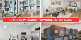 10520 Prospering Valley Way Gallery 11