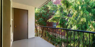Residence 620 Gallery 80
